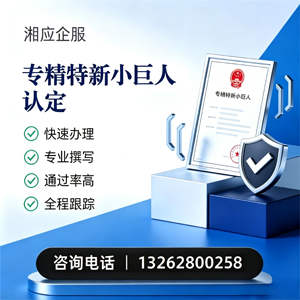 内蒙古专精特新小巨人申报服务