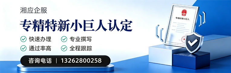 内蒙古专精特新小巨人申报服务